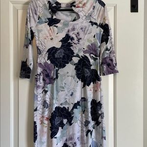 Pea in the Pod Maternity Dress